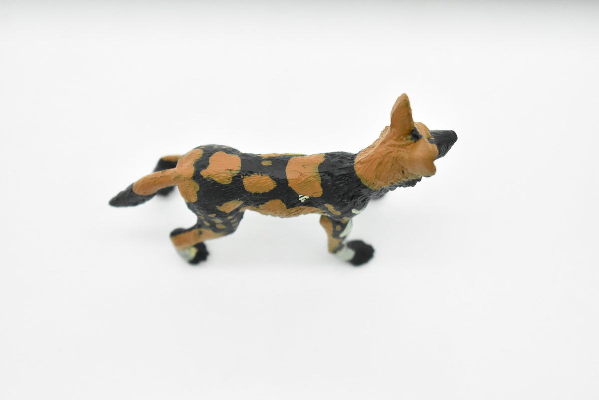 African Wild Dog, Painted Dog, Lycaon pictus, Museum Quality, Educational, Rubber Animal, Hand Painted, Realistic, Diorama Model, Toy, Kids,  4 Inches. 