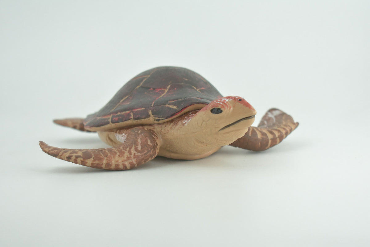 Hawksbill Sea Turtle, Museum Quality, Hand Painted, Rubber Reptile, Realistic, Diorama, Toy Figure, Model, Kids, Educational, Gift,   7 Inches.   CH1005 BB220