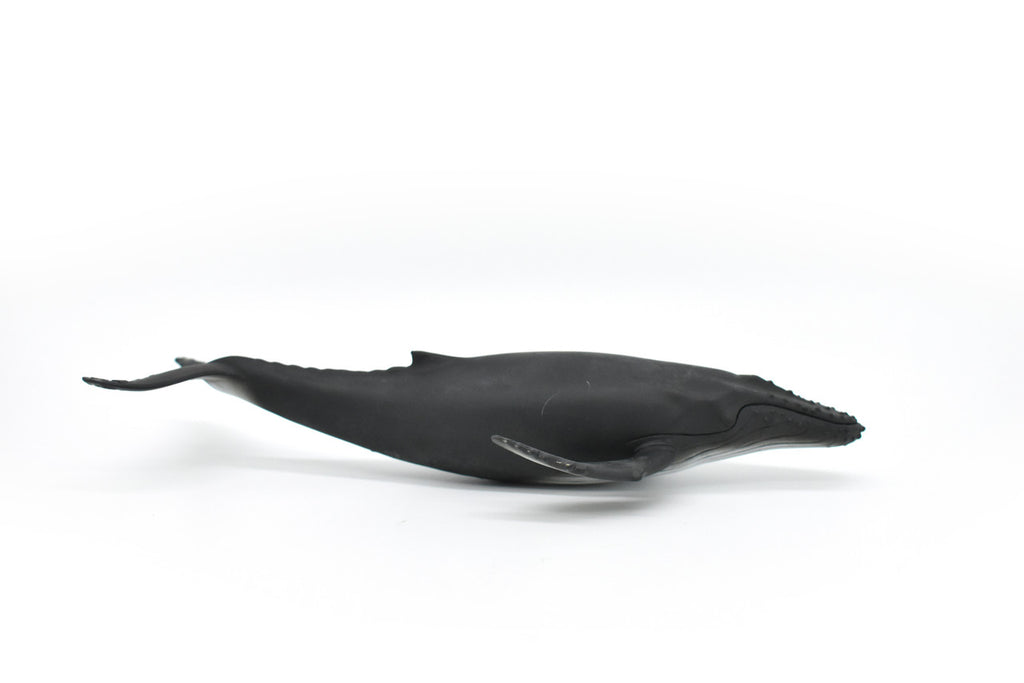 Humpback Whale,  Museum Quality Plastic Replica    10"        M035-B636