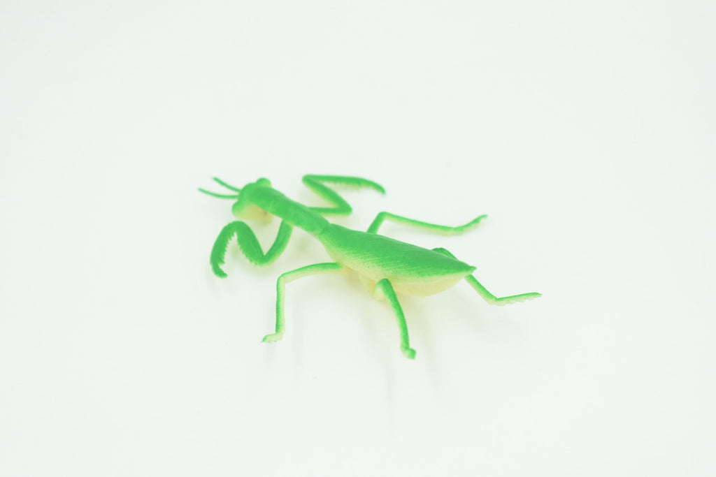 Praying Mantis, Very Nice Rubber Insect, Educational, Realistic Hand Painted, Figure, Lifelike Model, Figurine, Replica, Gift,     3"   US21 B44