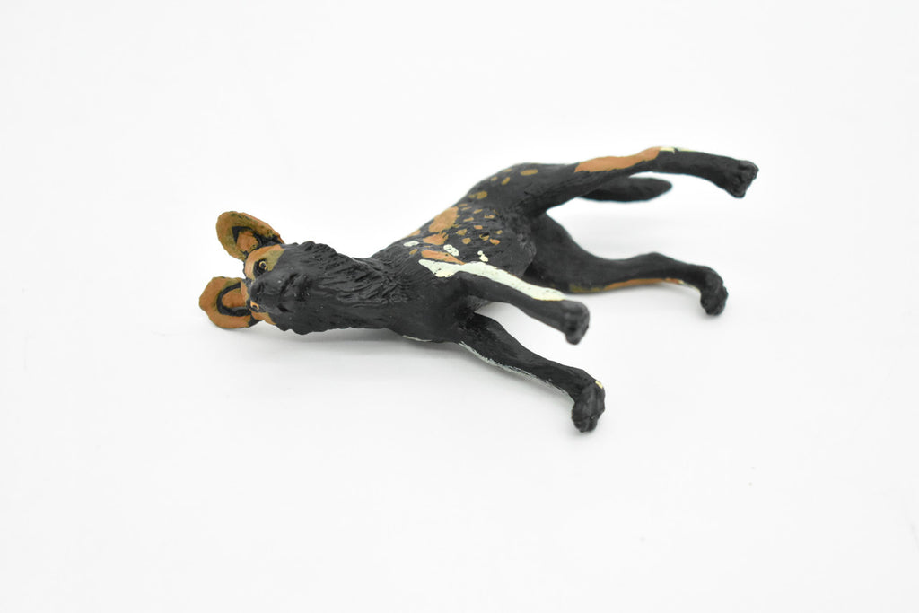 African Wild Dog, Painted Dog, Lycaon pictus, Museum Quality, Educational, Rubber Animal, Hand Painted, Realistic, Diorama Model, Toy, Kids, Gift,   4 Inches.    CH072 BB80