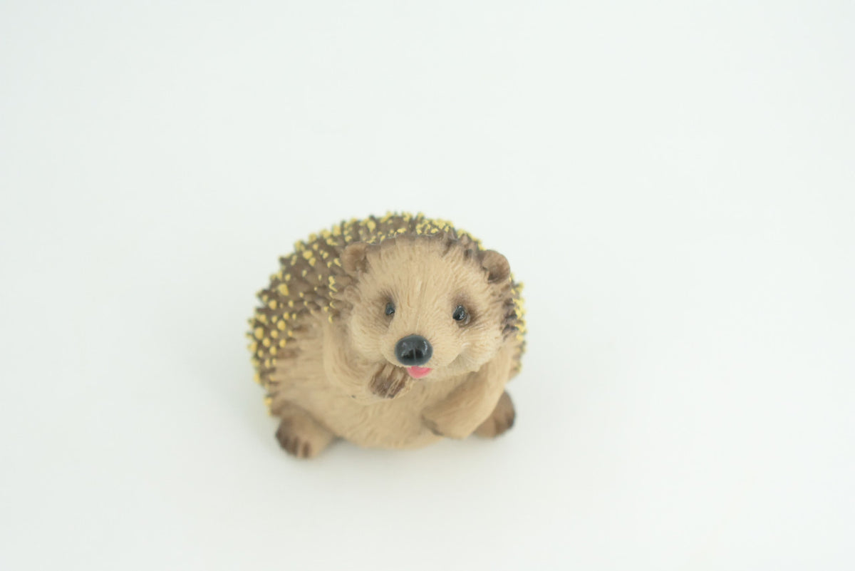 Hedgehog, Sitting, Museum Quality, Educational, Hand Painted, Very Nice Rubber Animal, Realistic, Diorama, Toy, Kids, Gift,   3 Inches.  CH972 BB212