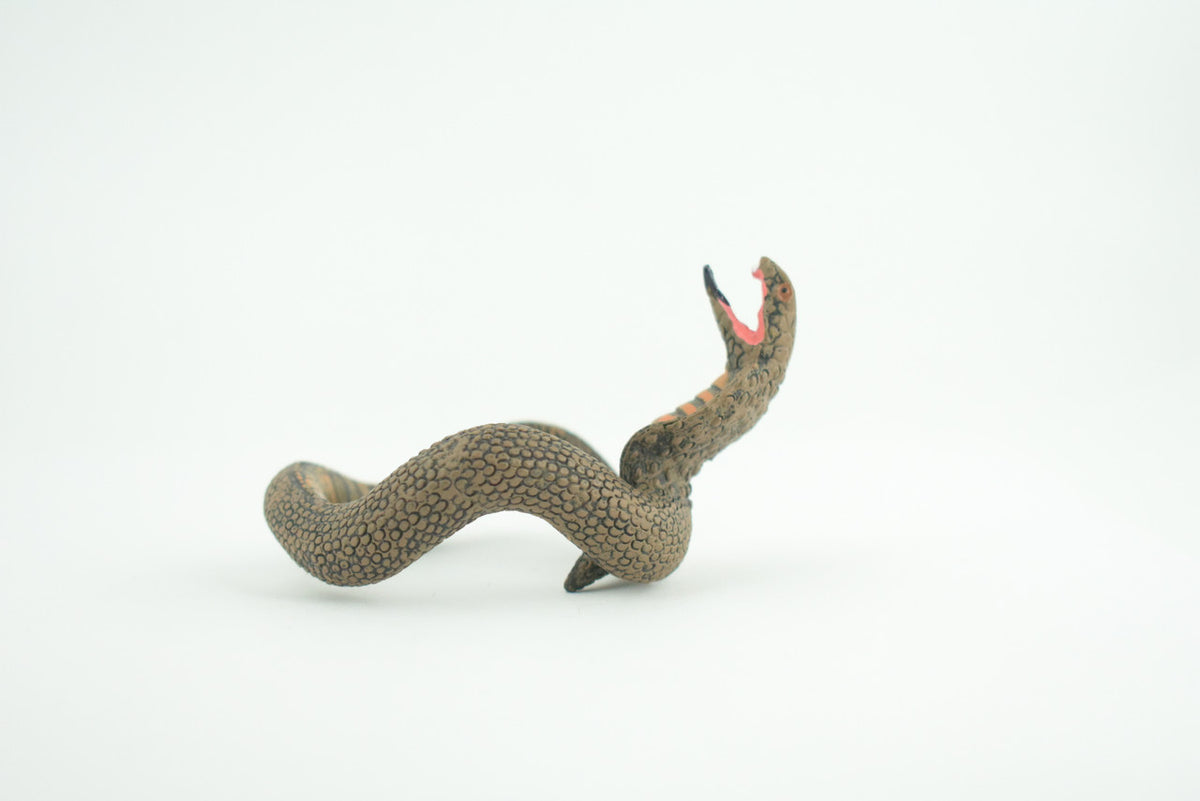 Cobra Snake Bracelet, Snake Wrist Band, Plastic Reptile, Educational, Realistic, Beautiful Design, Figure, Lifelike, Replica, Gift,     3"   RI67 B663