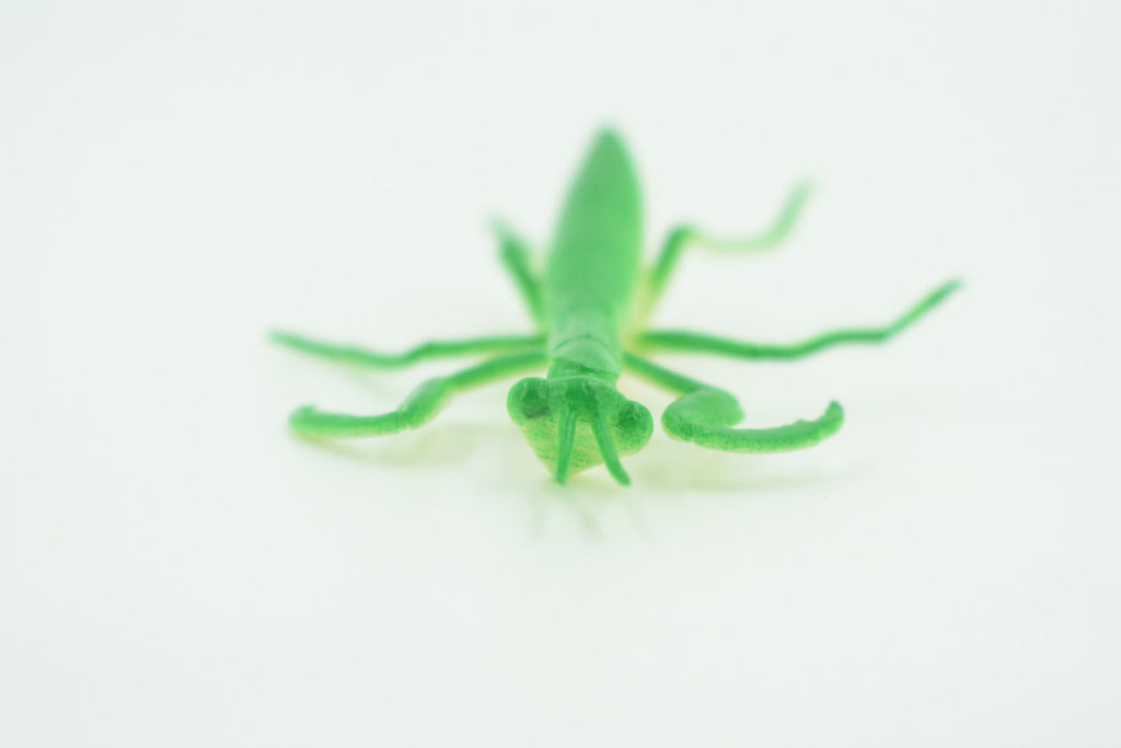 Praying Mantis, Very Nice Rubber Insect, Educational, Realistic Hand Painted, Figure, Lifelike Model, Figurine, Replica, Gift,     3"   US21 B44