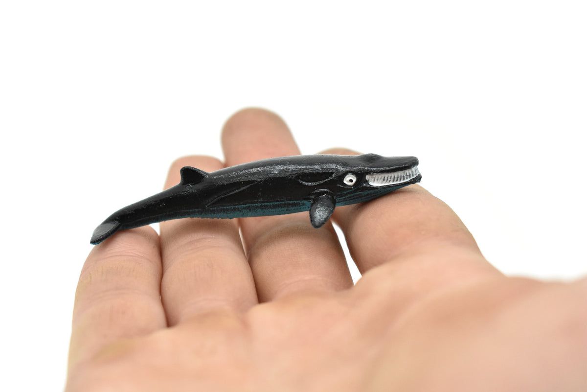 Baleen Whale, Very Nice Plastic Replica    3"  -  F603 B36