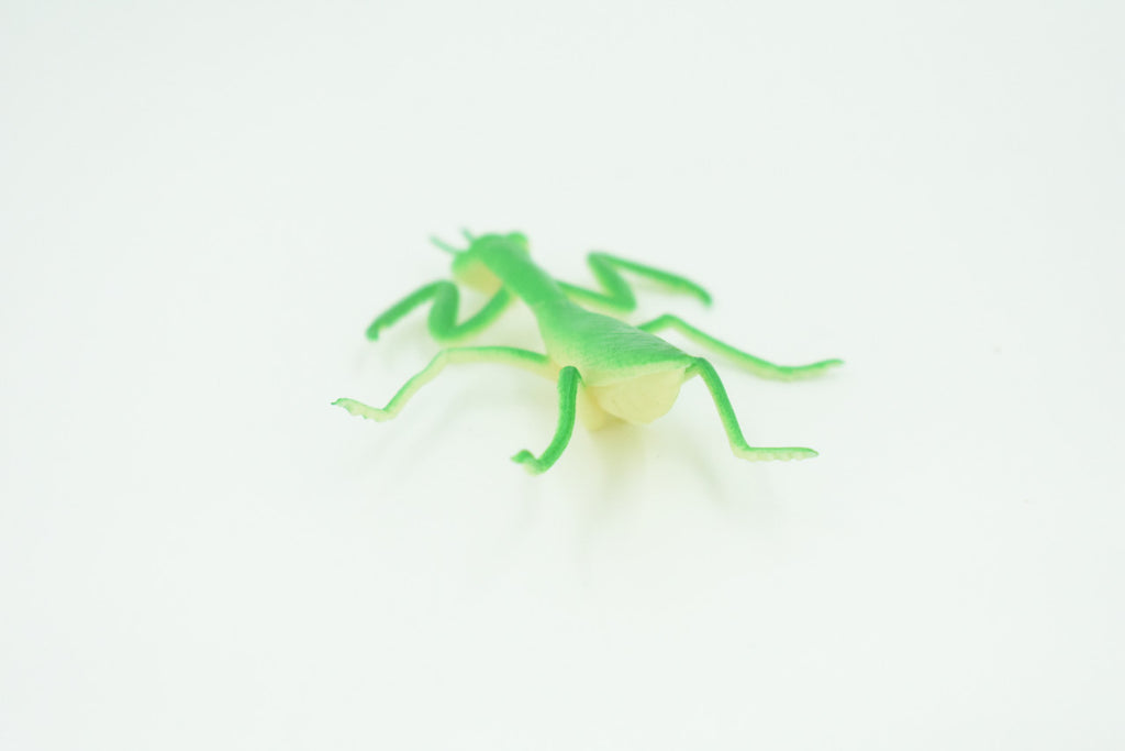 Praying Mantis, Very Nice Rubber Insect, Educational, Realistic Hand Painted, Figure, Lifelike Model, Figurine, Replica, Gift,     3"   US21 B44