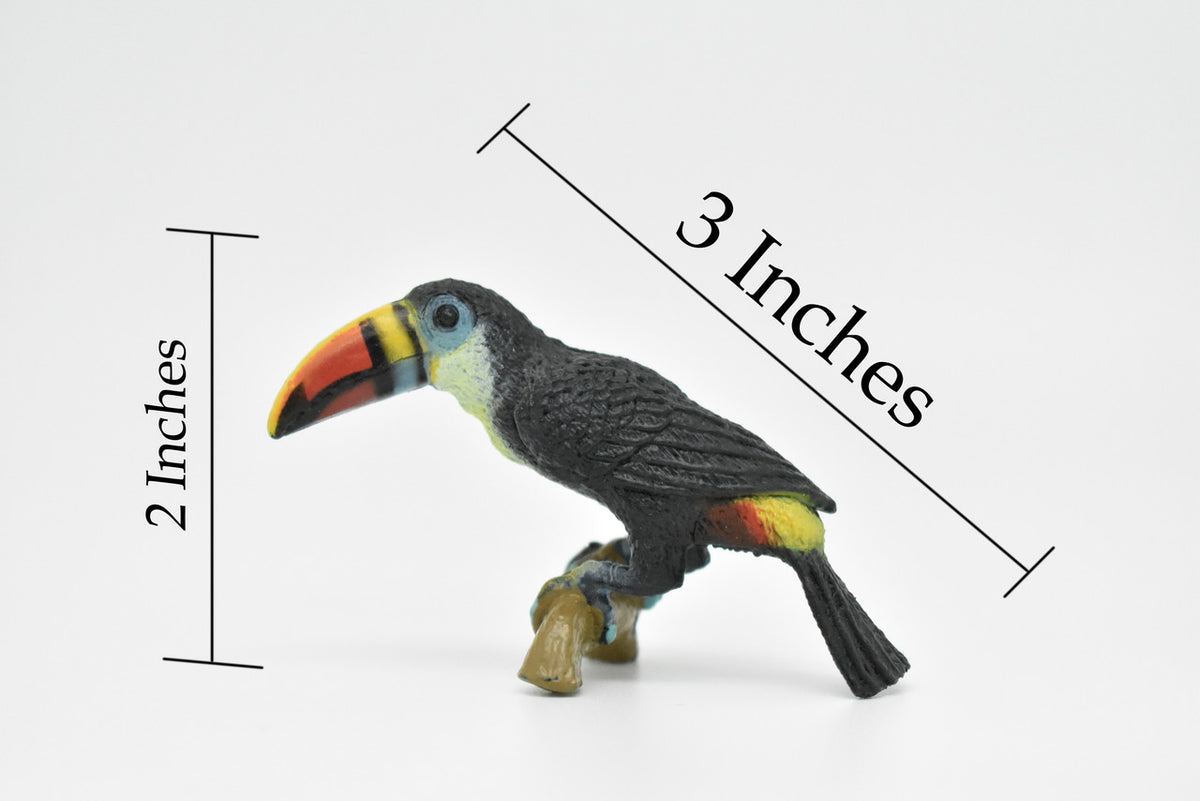 Toucan, Museum Quality, Realistic, Plastic, Bird Design, Educational, Hand Painted, Figure, Lifelike, Diorama Model, Figurine, Replica, Toy, Gift,       3 Inches   
