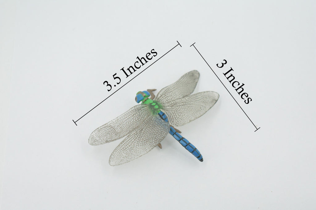 Dragonfly, Damselfly, Bluetail, Museum Quality, Hand Painted, Rubber Insect, Realistic, Figure, Model, Replica, Toy, Kids, Educational, Gift,    3 1/2"     CH517 BB157