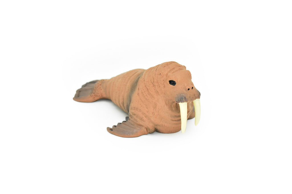 Walrus, Realistic Toy Hard Resin Model Replica, Kids Educational Gift   5"   OK05 B612
