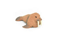 Walrus, Realistic Toy Hard Resin Model Replica, Kids Educational Gift   5"   OK05 B612