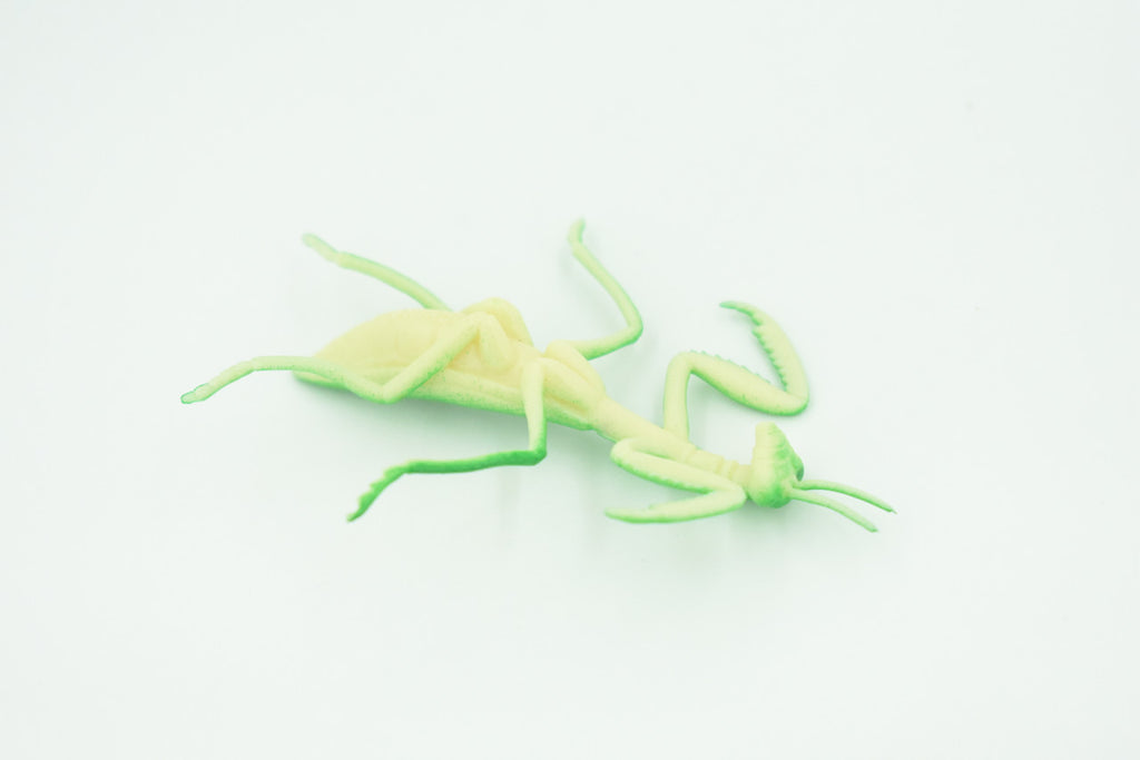 Praying Mantis, Very Nice Rubber Insect, Educational, Realistic Hand Painted, Figure, Lifelike Model, Figurine, Replica, Gift,     3"   US21 B44