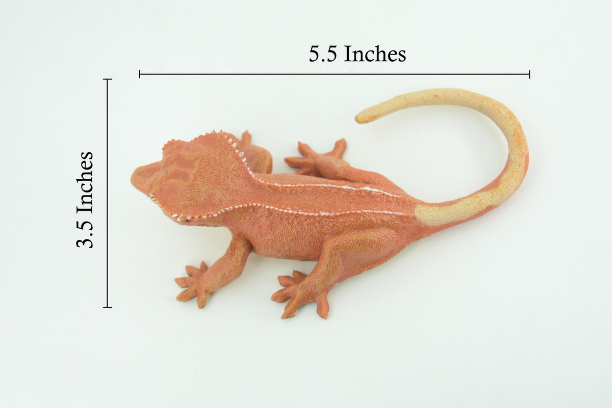 Crested Gecko, Eyelash Gecko, Museum Quality, Educational, Hand Painted, Rubber Lizard, Realistic Reptile, Diorama, Toy, Kids, Gift, 5 1/2 Inches. CH902 BB202