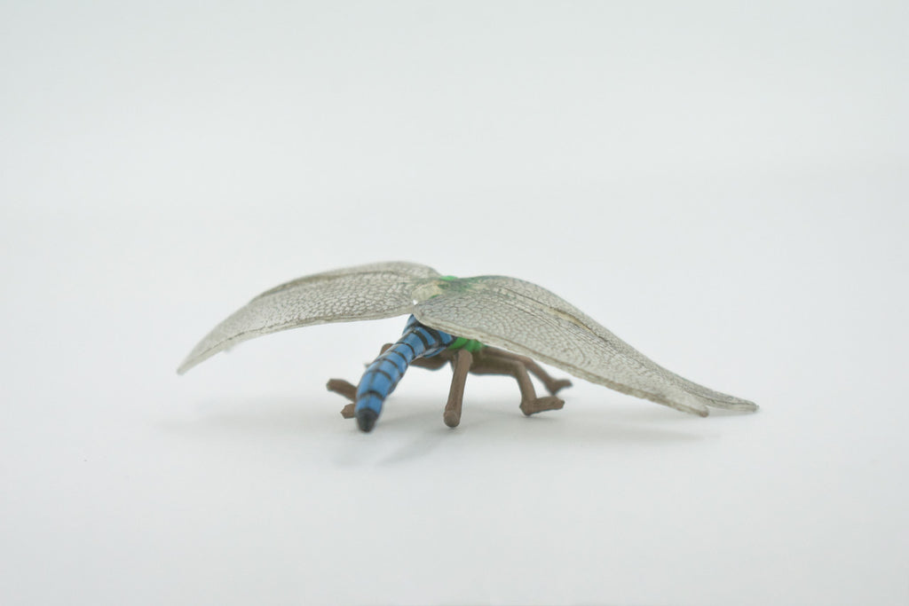 Dragonfly, Damselfly, Bluetail, Museum Quality, Hand Painted, Rubber Insect, Realistic, Figure, Model, Replica, Toy, Kids, Educational, Gift,    3 1/2"     CH517 BB157