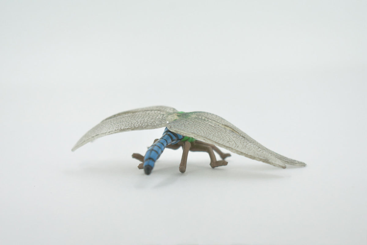 Dragonfly, Damselfly, Bluetail, Museum Quality, Hand Painted, Rubber Insect, Realistic, Figure, Model, Replica, Toy, Kids, Educational, Gift,    3 1/2"     CH517 BB157
