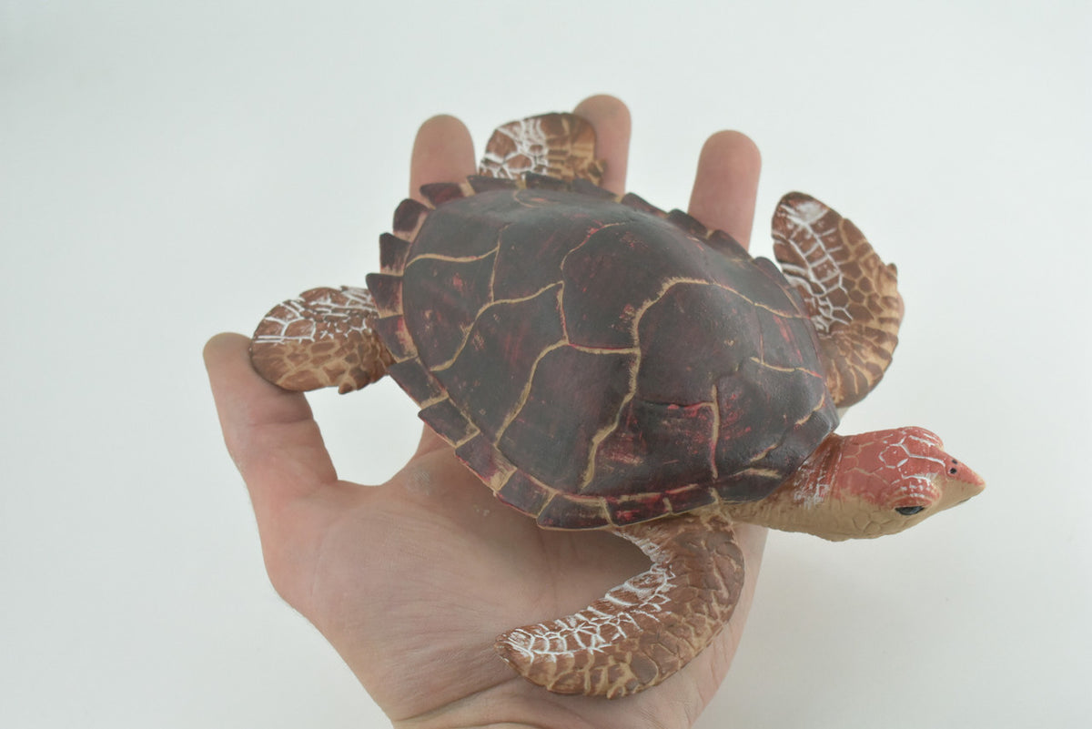 Hawksbill Sea Turtle, Museum Quality, Hand Painted, Rubber Reptile, Realistic, Diorama, Toy Figure, Model, Kids, Educational, Gift, 7 Inches. CH1005 BB220
