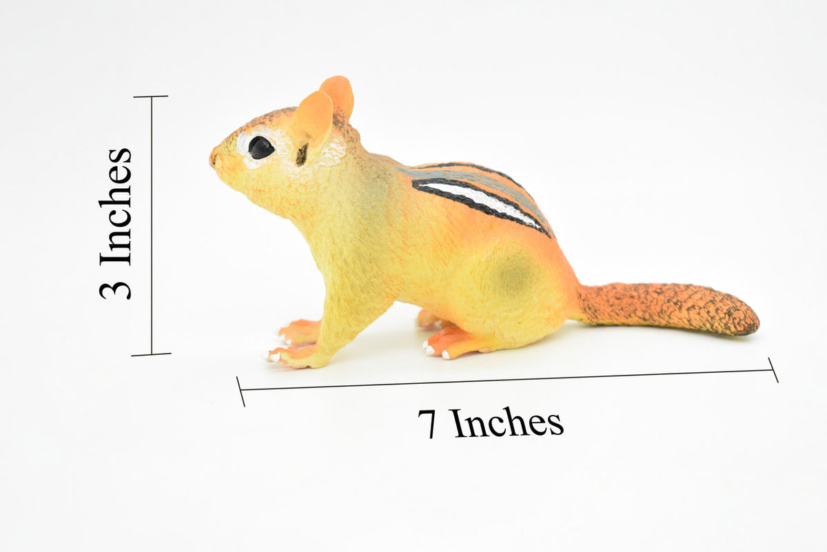 Chipmunk, Chippies,  Striped squirrel, Museum Quality, Hand Painted, Rubber Animal, Realistic Toy Figure, Diorama Model, Kids, Educational,  7 Inches. 