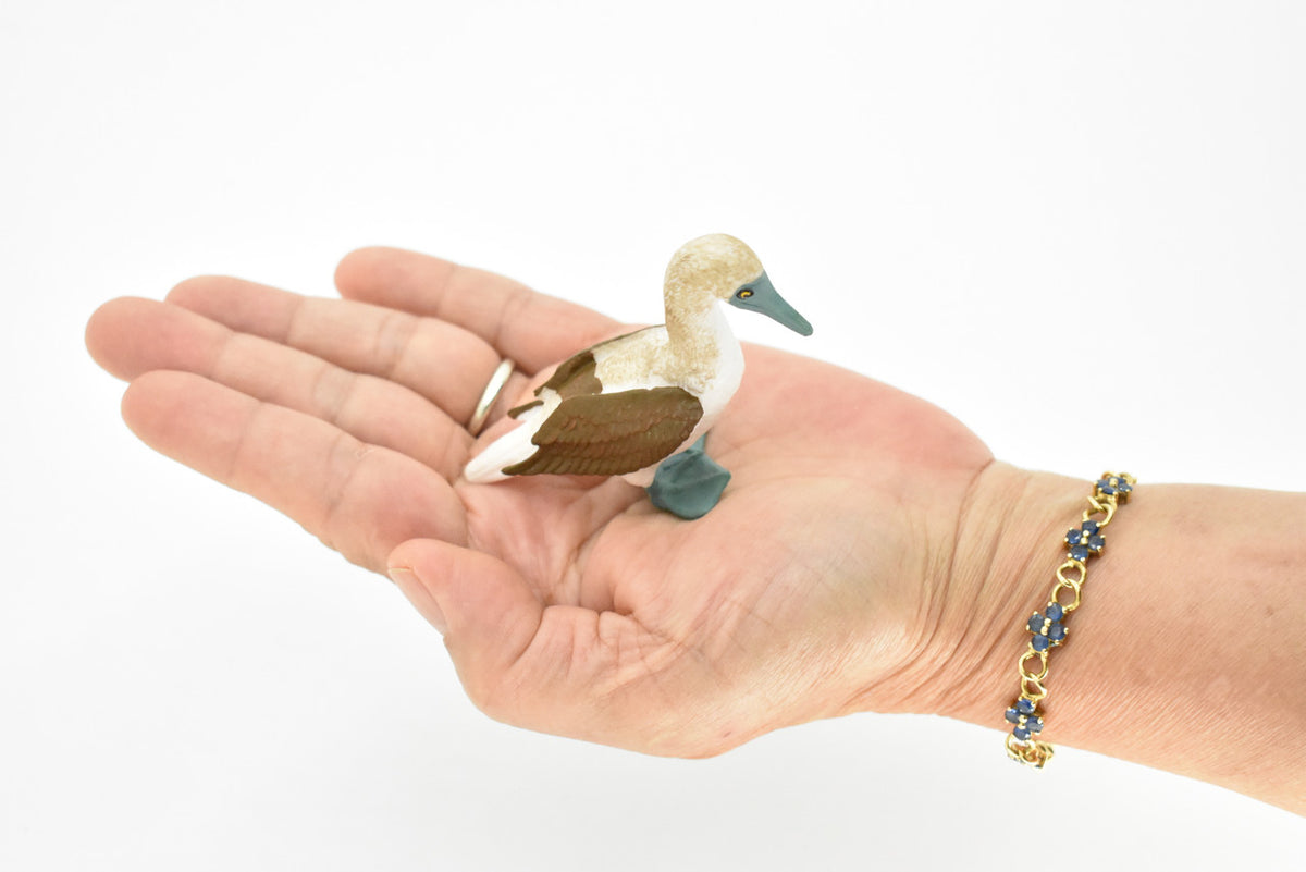 Blue Footed Booby, Gannet Sea Bird, Museum Quality, Rubber Bird, Hand Painted, Realistic Toy Figure, Diorama Model, Kids, Educational, 3 Inches.