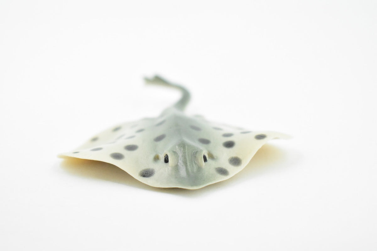 Sting Ray, Spotted Stingray, Museum Quality, Rubber Fish, Hand Painted, Realistic Toy Figure, Diorama Model, Replica, Kids, Educational,  4 1/2 Inches. 