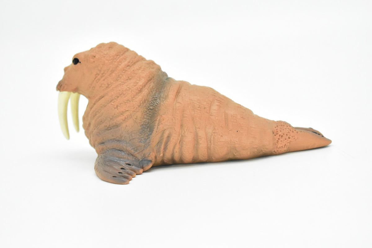 Walrus, Realistic Toy Hard Resin Model Replica, Kids Educational Gift   5"   OK05 B612