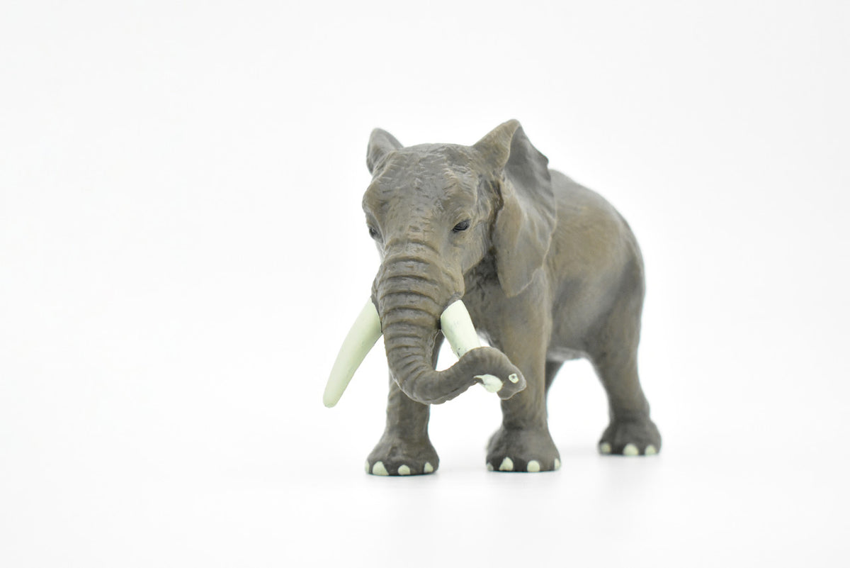 African Elephant, Loxodonta africana, Museum Quality, Hand Painted, Rubber Animal, Realistic Toy Figure, Model, Kids, Educational,  6 Inches. 