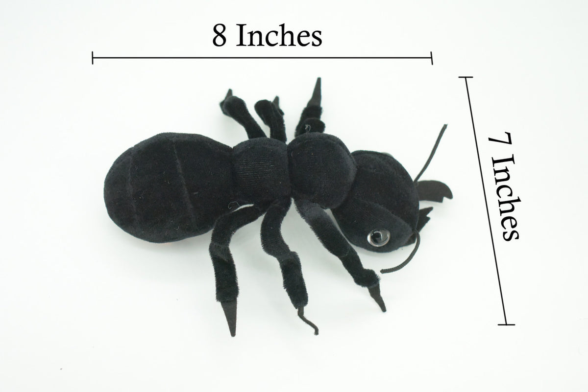Ant, Black Ant, Camponotini, Insect, Plush Design, Educational, Figure, Replica, Gift,      7"    F1799 B102