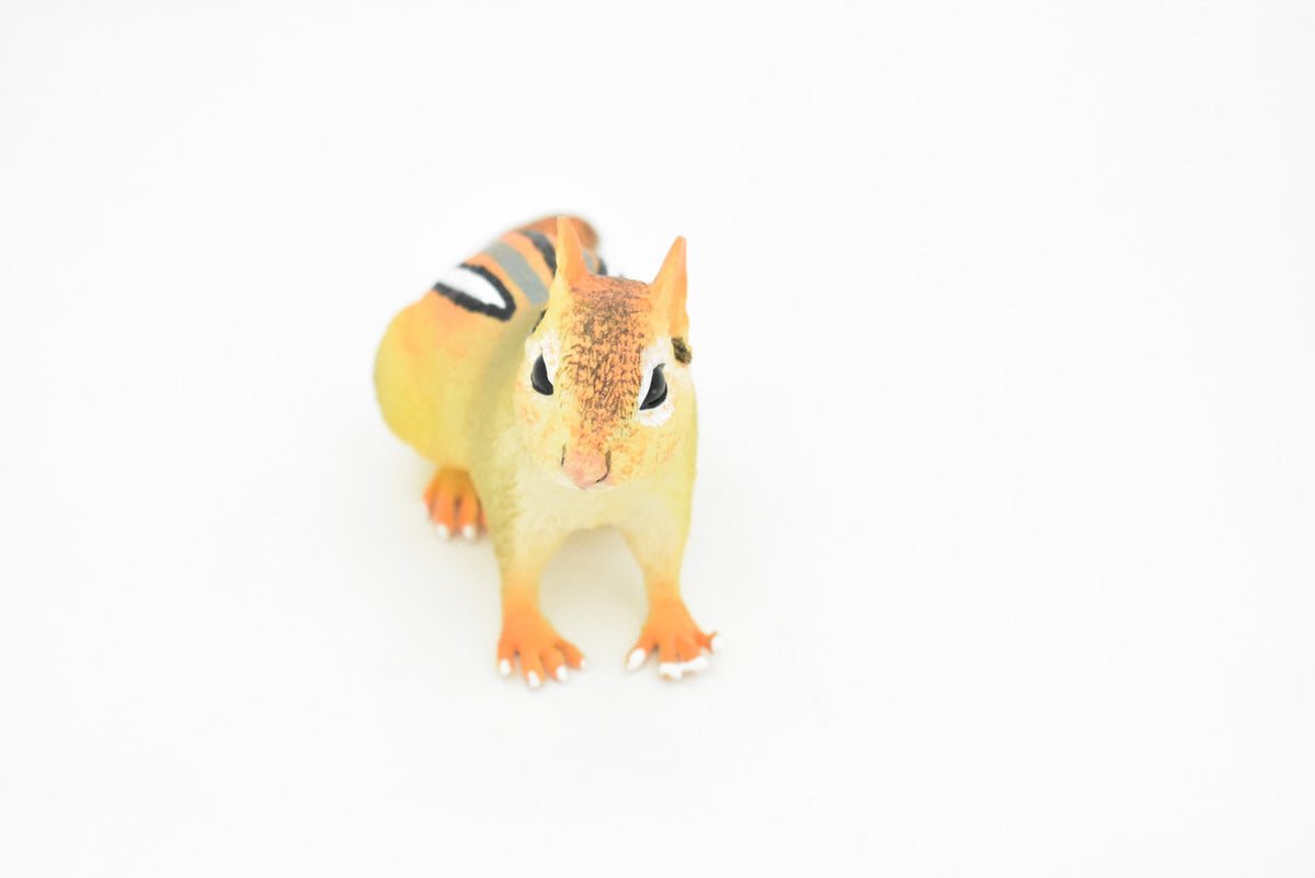 Chipmunk, Chippies,  Striped squirrel, Museum Quality, Hand Painted, Rubber Animal, Realistic Toy Figure, Diorama Model, Kids, Educational,  7 Inches. 