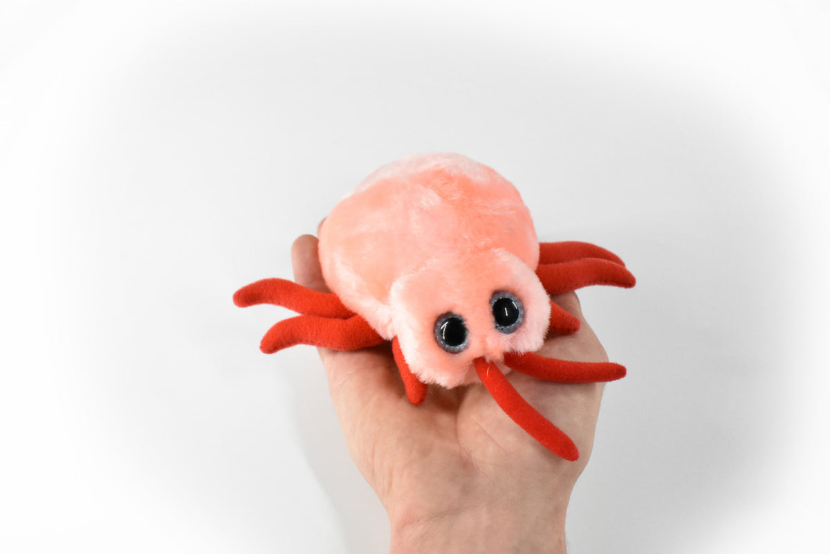 Bed Bug, Cimex lectularius, Parasitic insect, Bed Beetles, Plush Design, Educational, Figure, Replica, Gift,    7" 