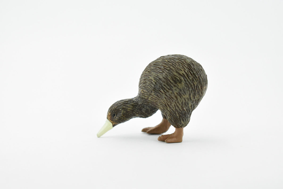 Kiwi, Kee Wee, Tokoeka Bird, Museum Quality, Rubber Bird, Hand Painted, Realistic Toy Figure, Diorama Model, Kids, Educational, 2 1/2 Inches. 