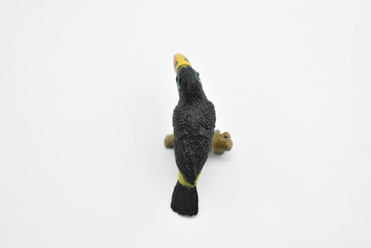 Toucan, Museum Quality, Realistic, Plastic, Bird Design, Educational, Hand Painted, Figure, Lifelike, Diorama Model, Figurine, Replica, Toy, Gift,       3 Inches        CWG193 BB45