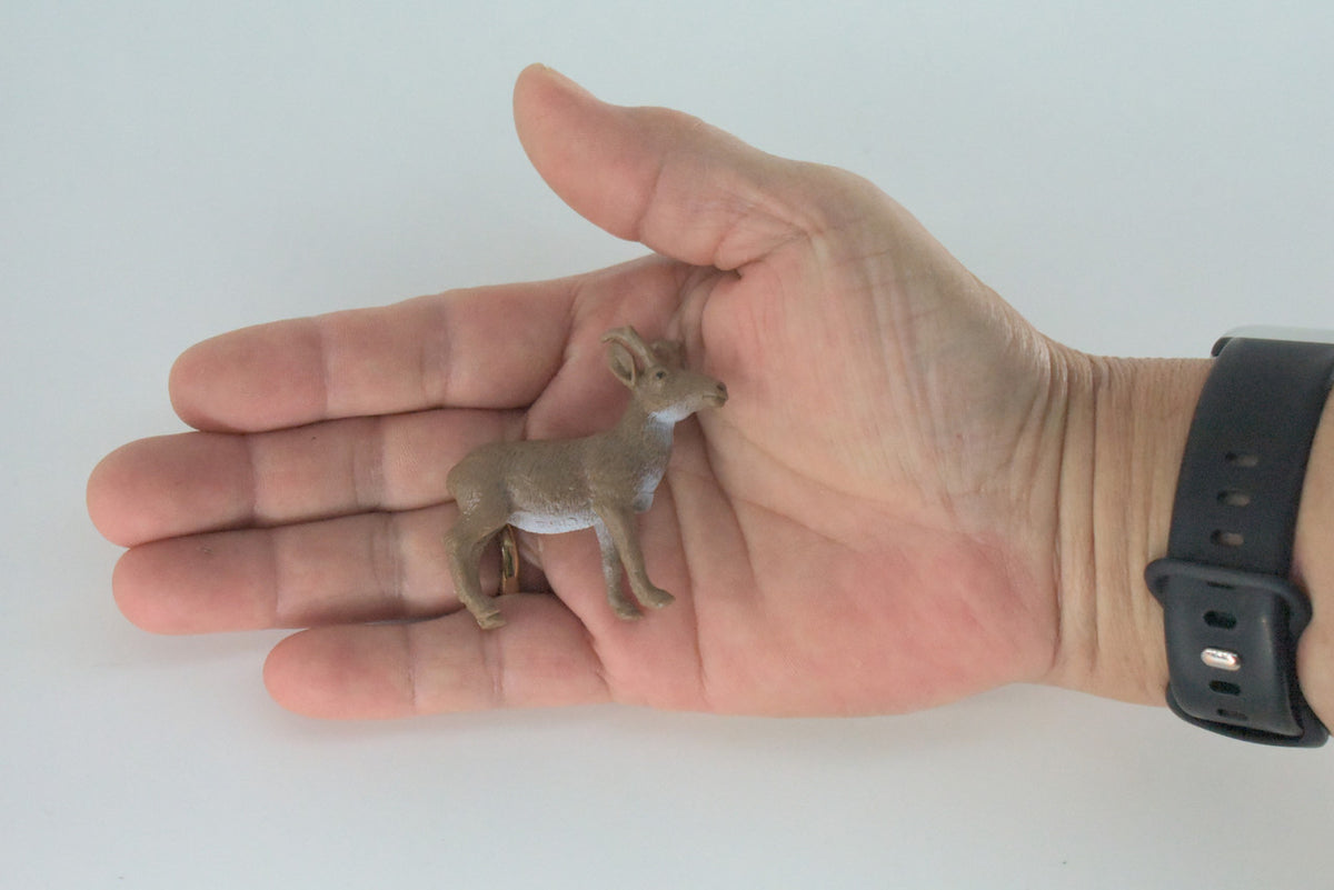 Antelope, Pronghorn, Very Nice Rubber Animal, Educational, Hand Painted, Realistic Figure, Lifelike, Toy, Kids,  Gift,   2 Inches.    F3529 B138
