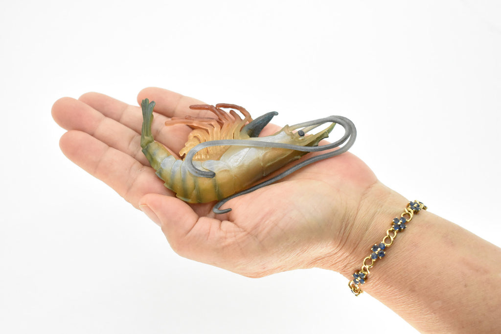 Shrimp, Prawn, Tiger Shrimp, Museum Quality, Hand Painted, Rubber Crustaceans, Realistic Toy Figure, Model, Replica, Kids, Educational, Gift,      4"      CH083 BB82