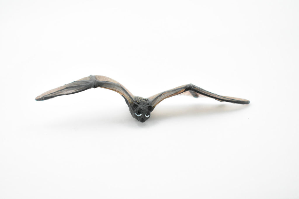 Bat, Chiroptera, Very Nice Rubber winged mammal, Hand Painted, Realistic Design, Educational, Diorama Model, Replica, Toy, Kids, Gift,     4 Inches.      CH429 BB109