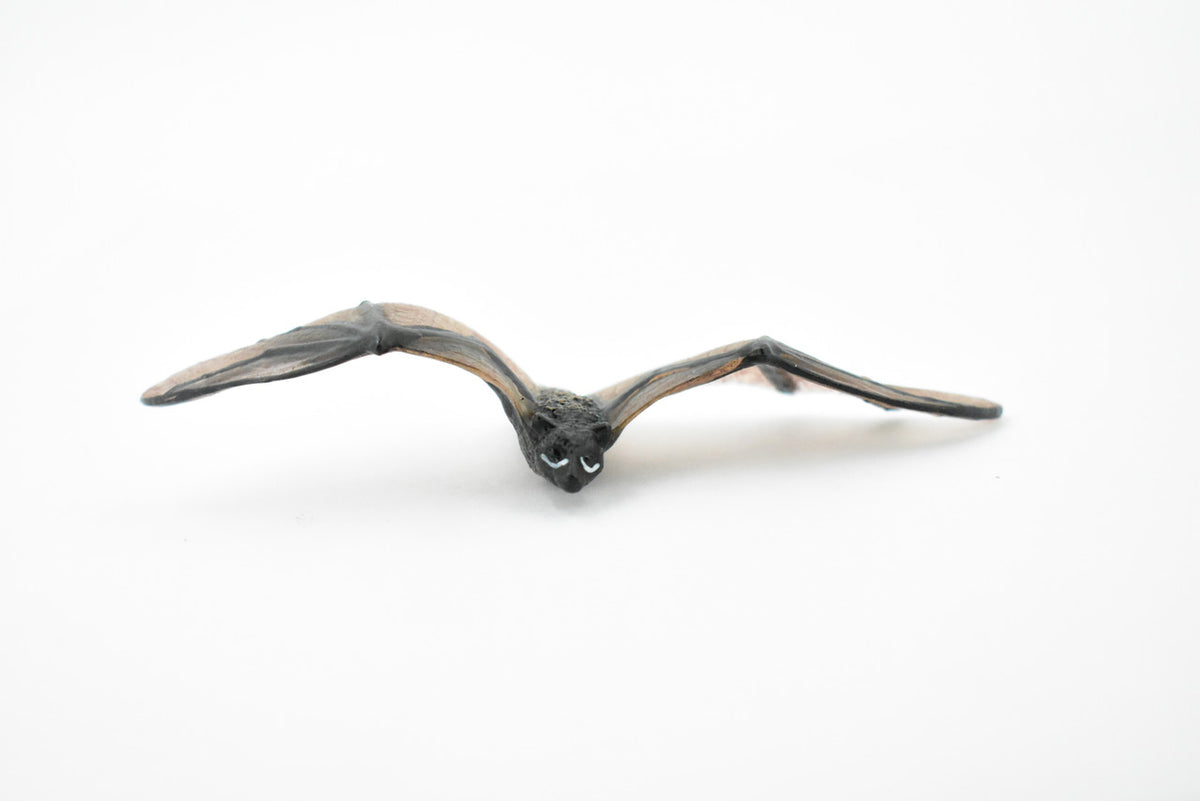 Bat, Chiroptera, Very Nice Rubber winged mammal, Hand Painted, Realistic Design, Educational, Diorama Model, Replica, Toy, Kids, Gift,     4 Inches.      CH429 BB109