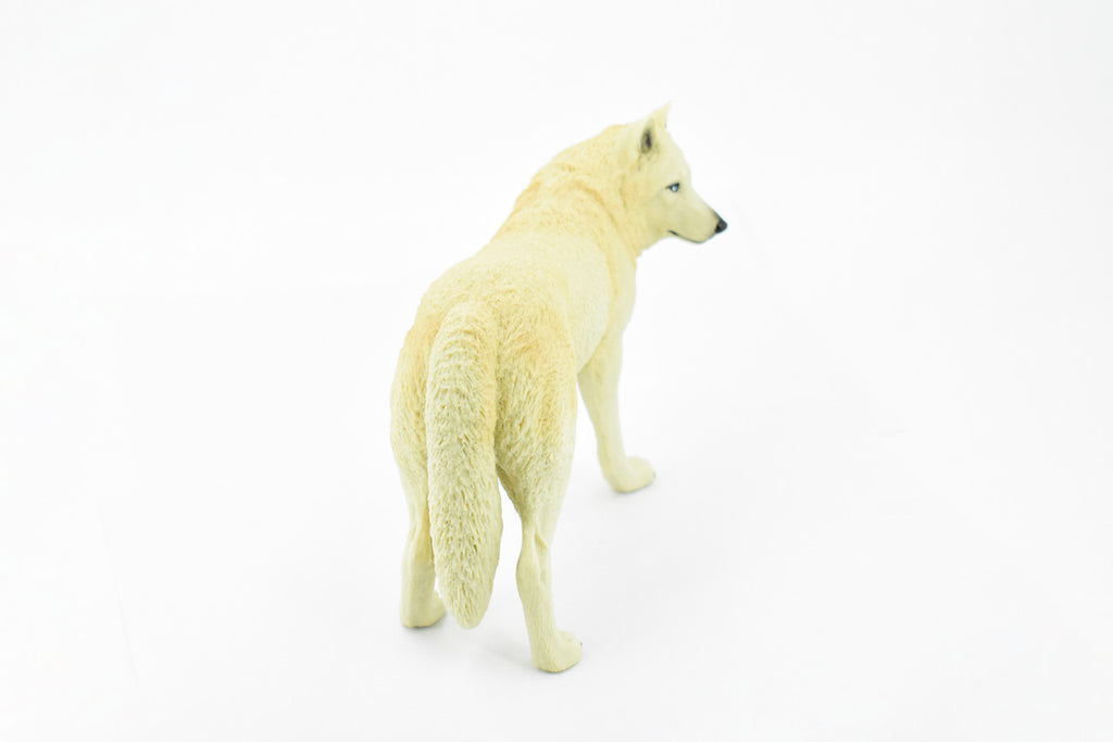 White Wolf, Arctic Timber Wolf, Museum Quality, Educational, Rubber Animal, Hand Painted, Realistic, Diorama Model, Toy, Kids, Gift,     7 Inches.    CH390 BB145