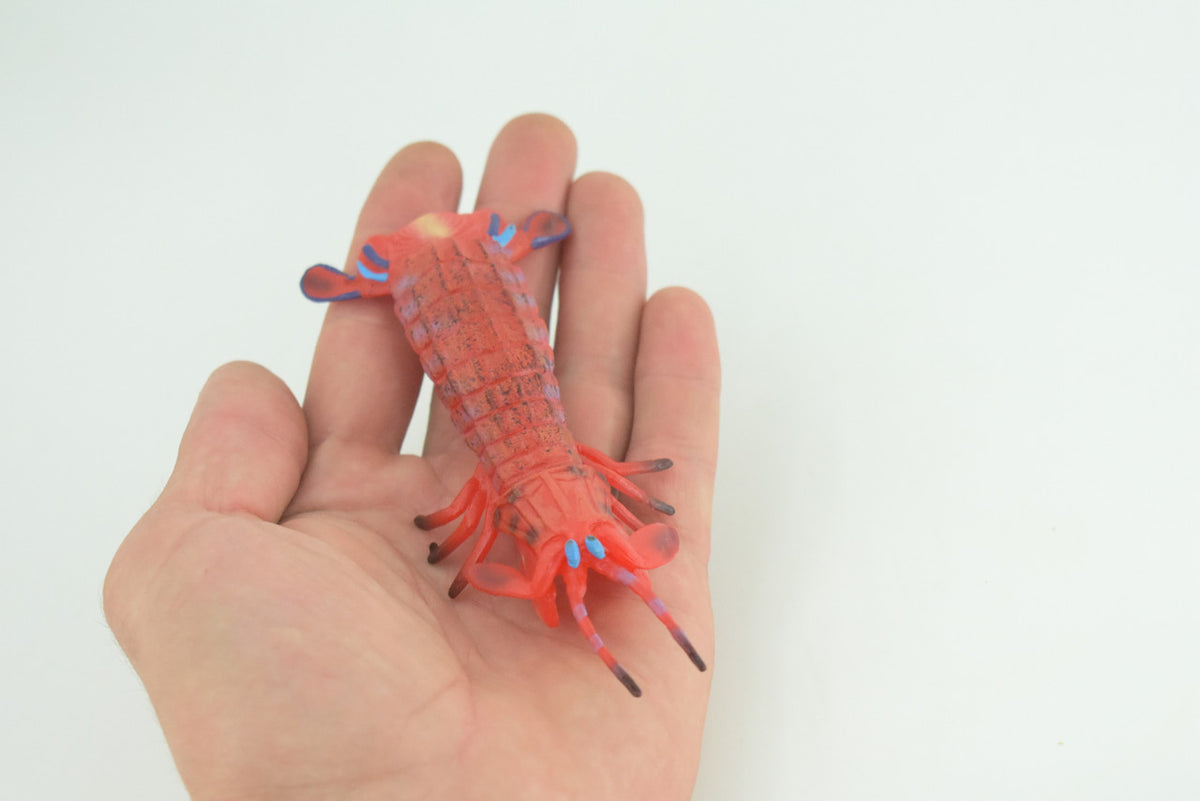 Mantis Shrimp, Marine Crustaceans, Museum Quality, Hand Painted, Rubber, Realistic Toy Figure, Diorama Model, Replica, Kids, Educational, Gift, 5 Inches. CH1050 BB218