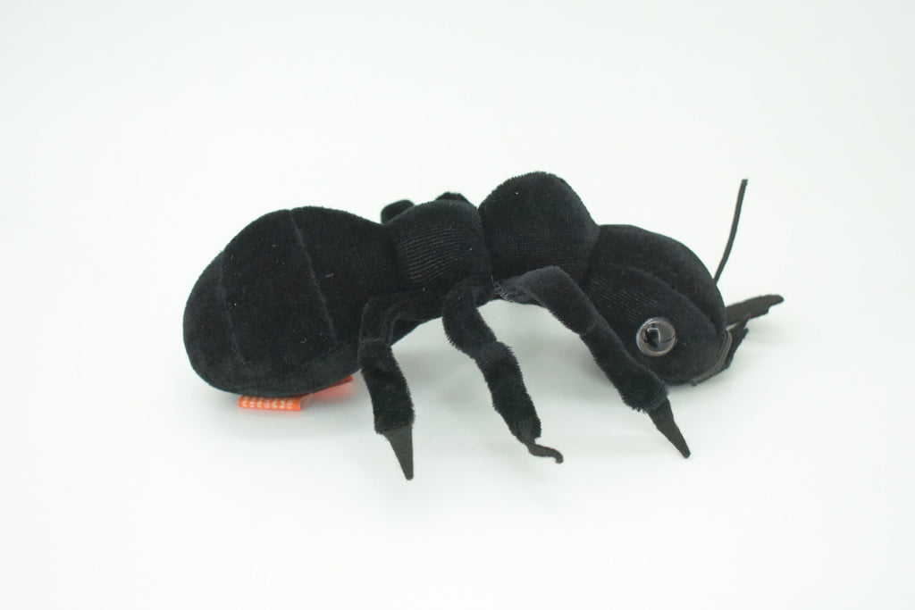 Ant, Black Ant, Camponotini, Insect, Plush Design, Educational, Figure, Replica, Gift,      7"    F1799 B102