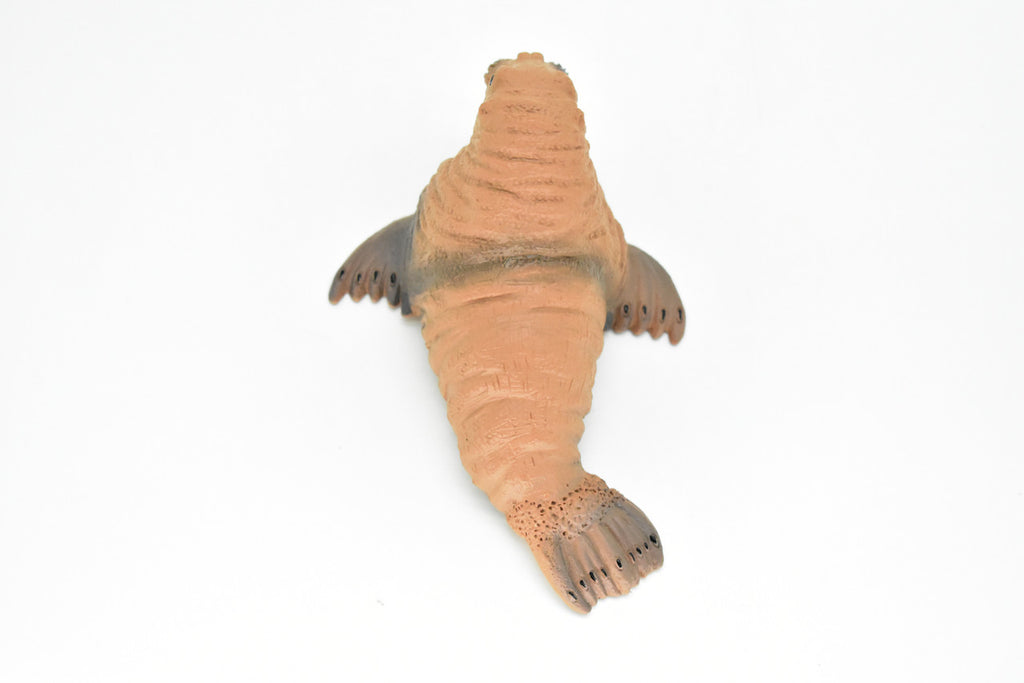Walrus, Realistic Toy Hard Resin Model Replica, Kids Educational Gift   5"   OK05 B612
