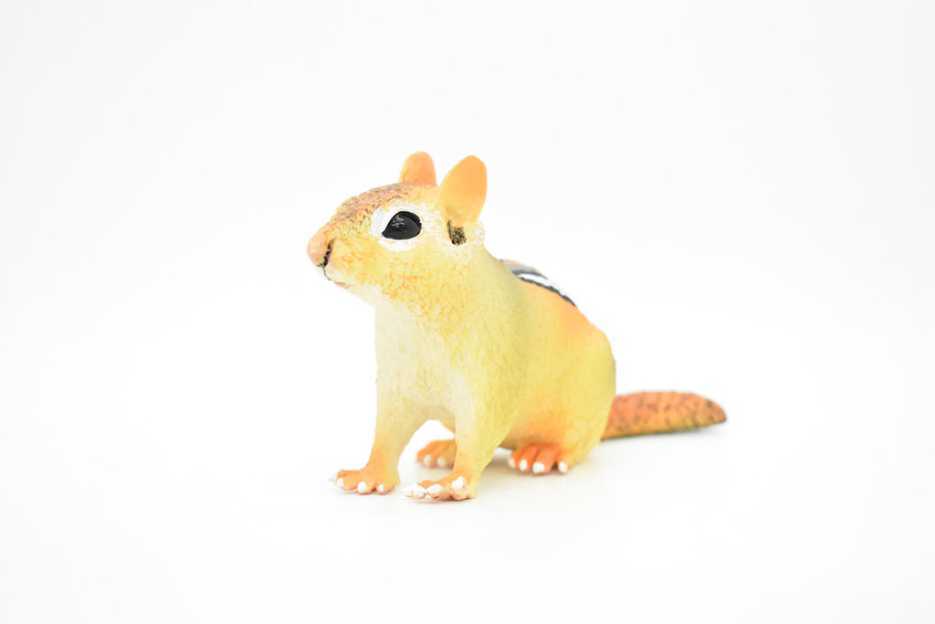 Chipmunk, Chippies,  Striped squirrel, Museum Quality, Hand Painted, Rubber Animal, Realistic Toy Figure, Diorama Model, Kids, Educational,  7 Inches. 
