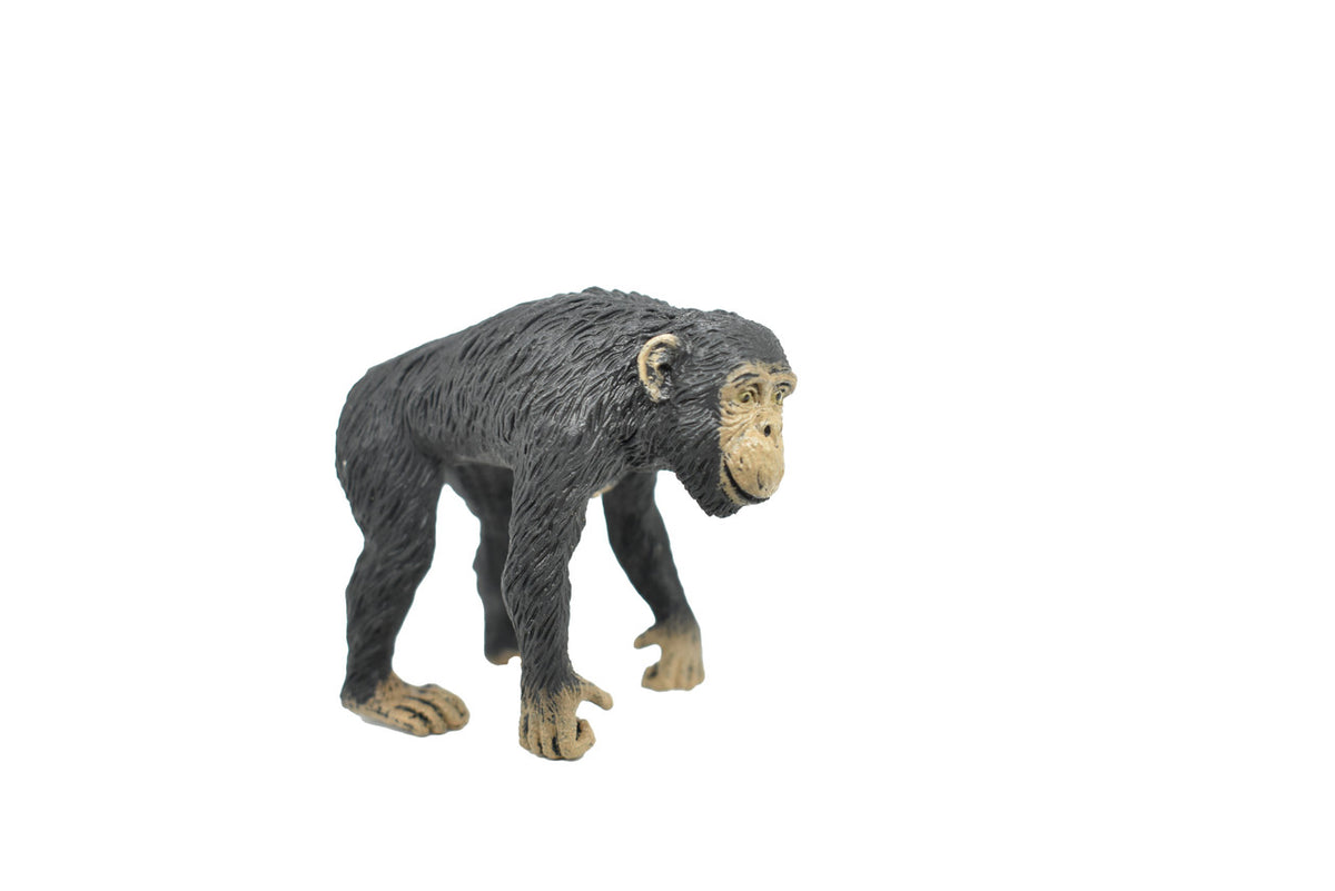 Chimpanzee, Female, Monkey, Primate, Educational, Realistic Hand Painted, Figure, Lifelike Model, Figurine, Vintage Replica, Toy,  2 1/4 Inches. 