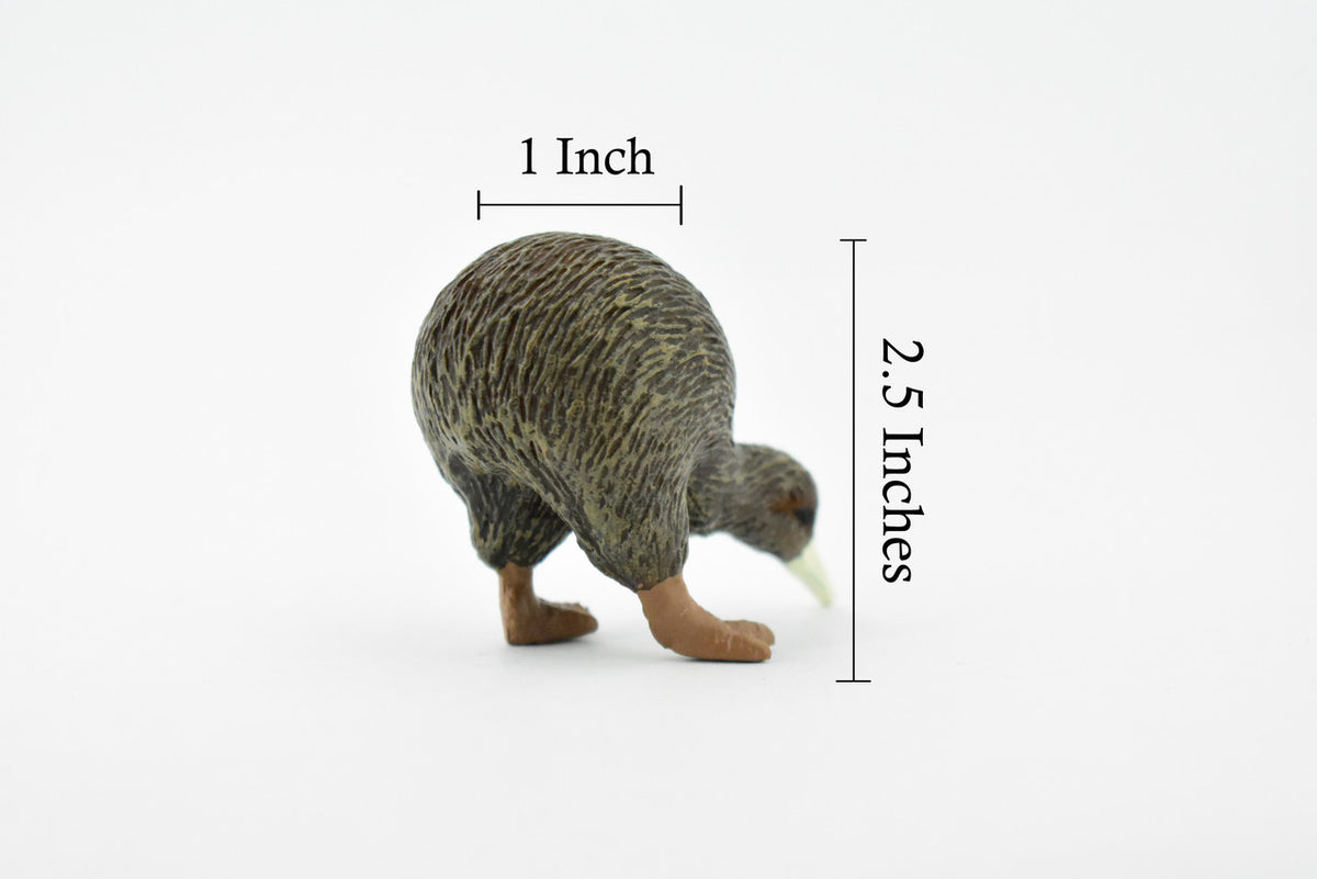 Kiwi, Kee Wee, Tokoeka Bird, Museum Quality, Rubber Bird, Hand Painted, Realistic Toy Figure, Diorama Model, Kids, Educational, 2 1/2 Inches. 