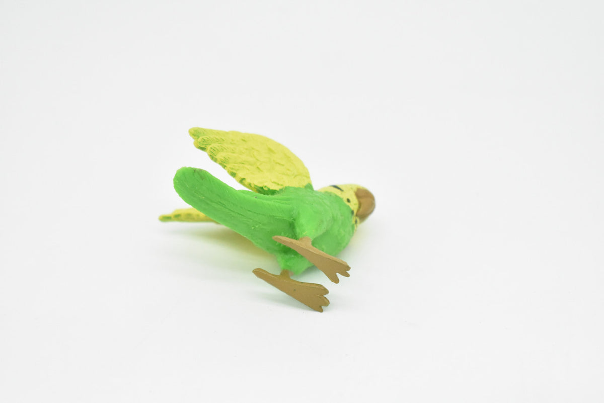 Parakeet, Budgerigar, Plastic Bird Design, Educational, Hand Painted, Toy, Kids, Realistic Figure, Lifelike Model,  Gift,   2 1/2 Inches.   CWG237 B306