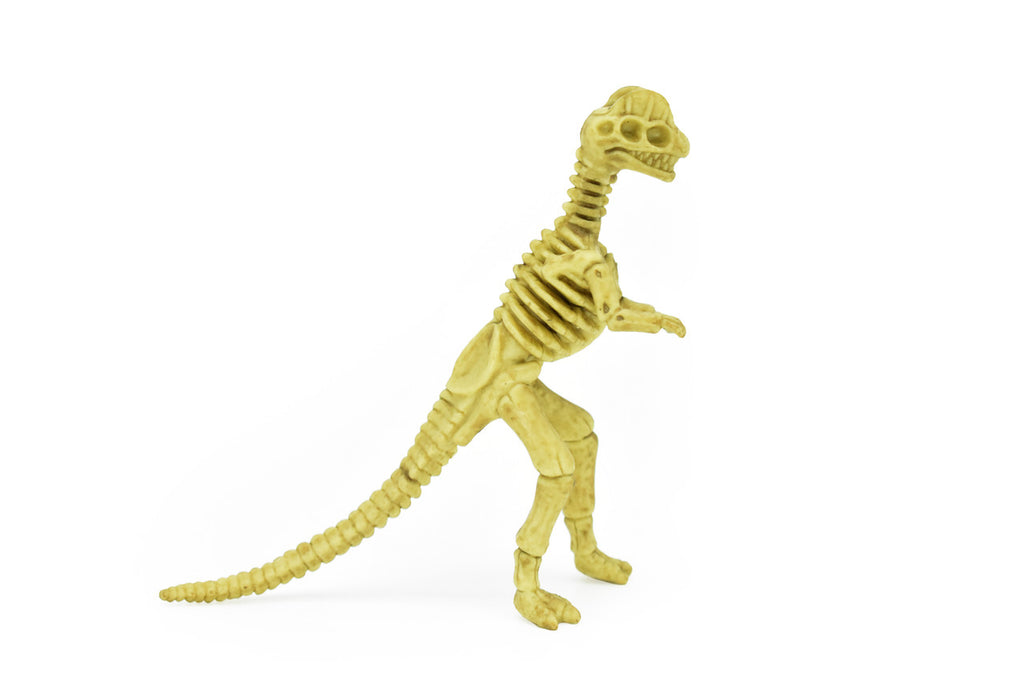 Dilophosaurus Dinosaur, Skeleton, Plastic Replica   6"  -   F3294 B66