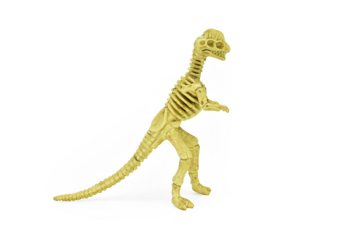 Dilophosaurus Dinosaur, Skeleton, Plastic Replica   6"  -   F3294 B66