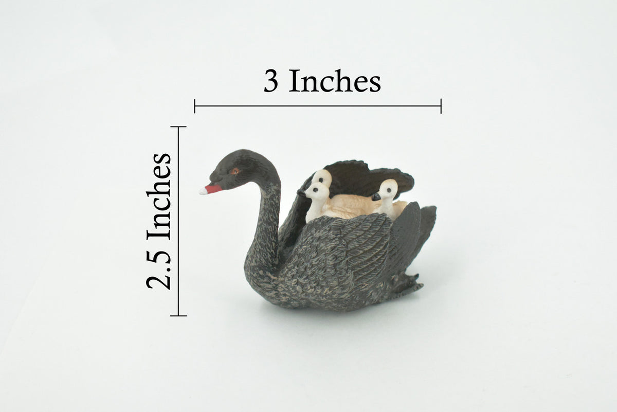 Bird, Black Swan, with Chicks, Babies, Museum Quality, Hand Painted, Rubber, Figure, Realistic, Model, Replica, Toy, Kids, Educational, Gift,     3"    CH695 BB173