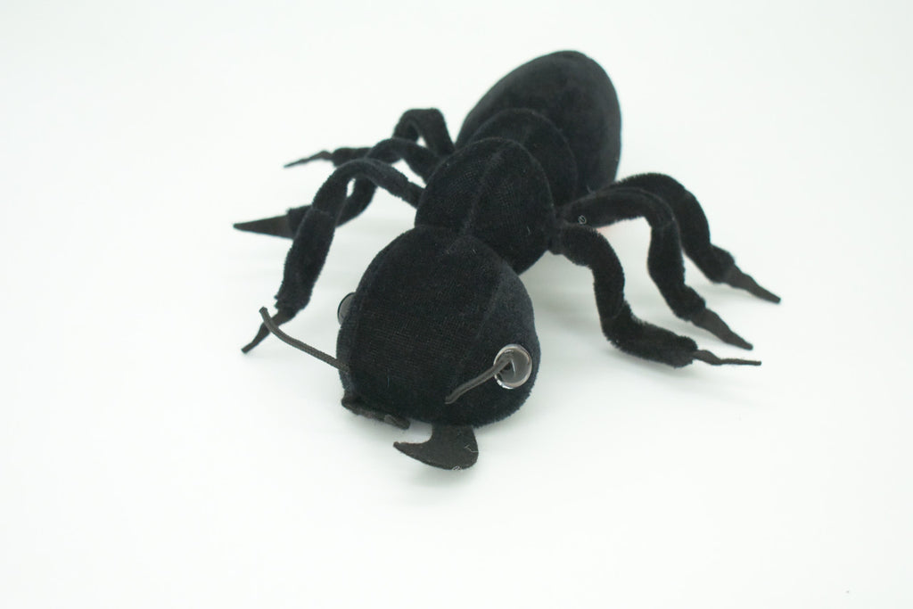 Ant, Black Ant, Camponotini, Insect, Plush Design, Educational, Figure, Replica, Gift,      7"    F1799 B102