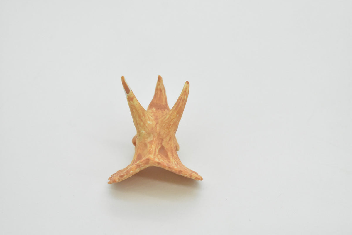Triceratops, Late Cretaceous period, Dinosaur Skull Fossil, Very Realistic, Hard Rubber, Educational, Figure, Diorama Model, Prehistoric, Bones, Toy, Gift,     1.5 Inches   CH158 B231