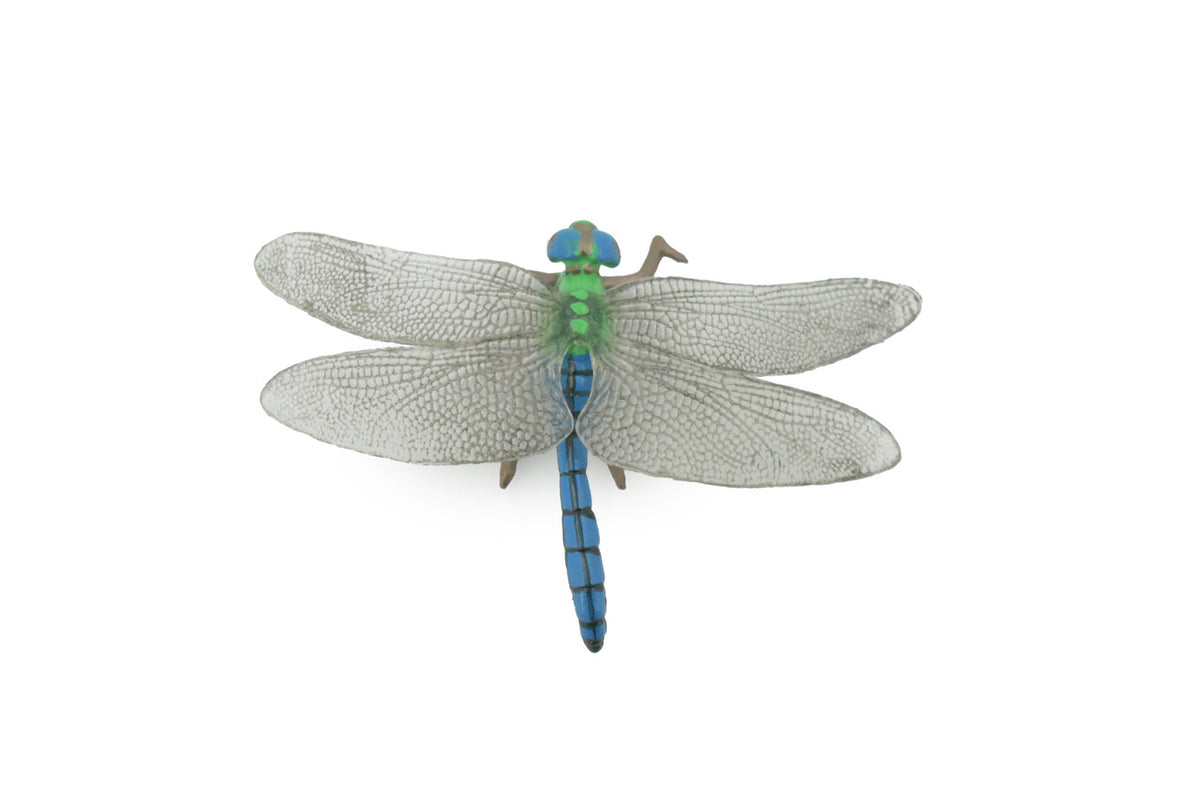 Dragonfly, Damselfly, Bluetail, Museum Quality, Hand Painted, Rubber Insect, Realistic, Figure, Model, Replica, Toy, Kids, Educational, Gift,    3 1/2"     CH517 BB157