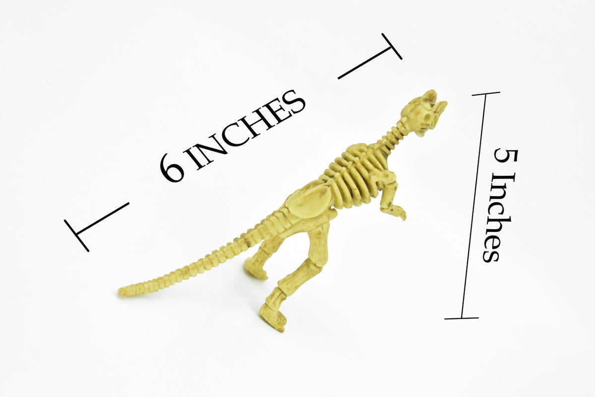 Dilophosaurus Dinosaur, Skeleton, Plastic Replica   6"  -   F3294 B66