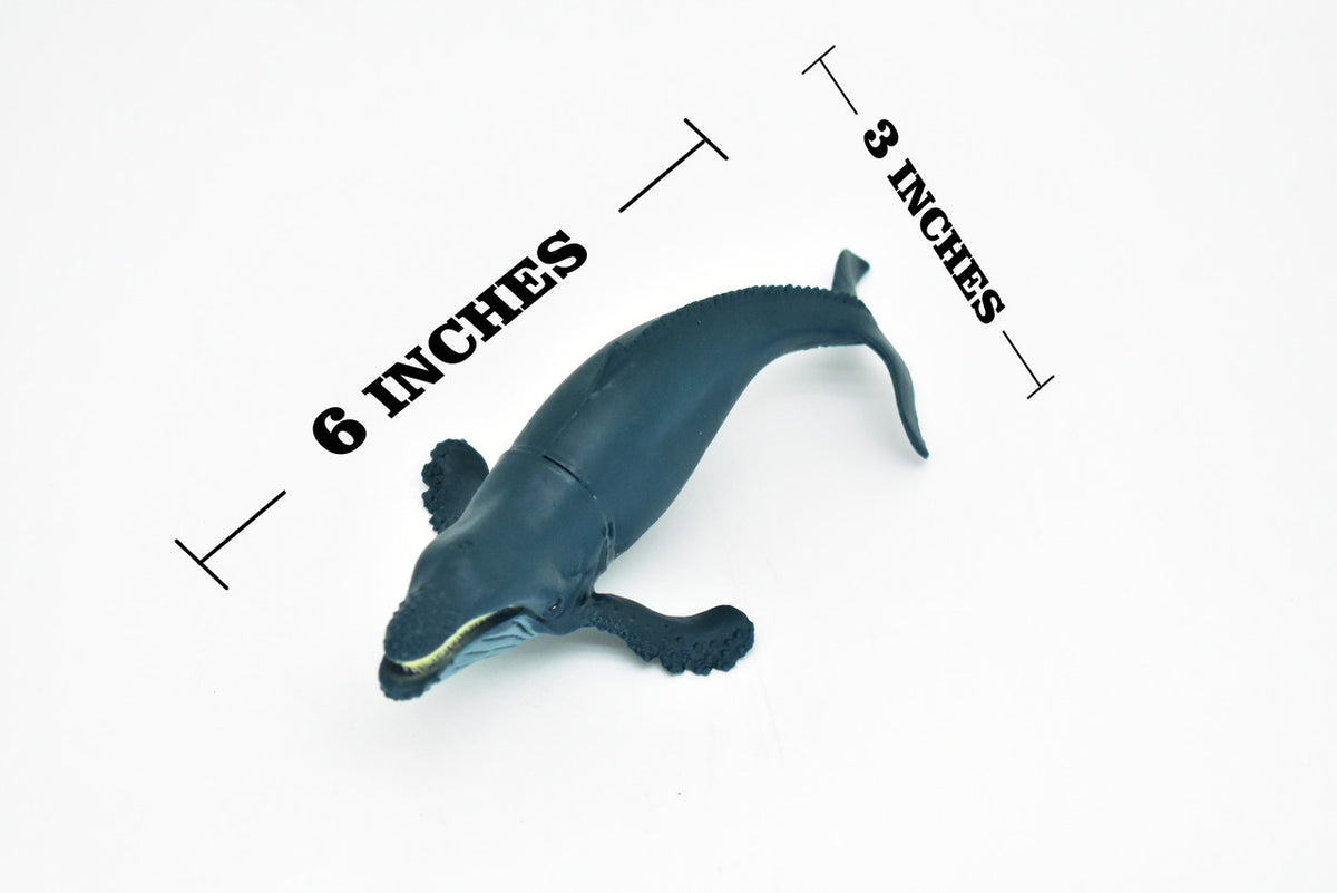 Humpback Whale, Megaptera novaeangliae, Hand Painted, Realistic, Soft Rubber, Saltwater, Educational,  Figure, Lifelike, Diorama Model, Toy,  6 Inches. 