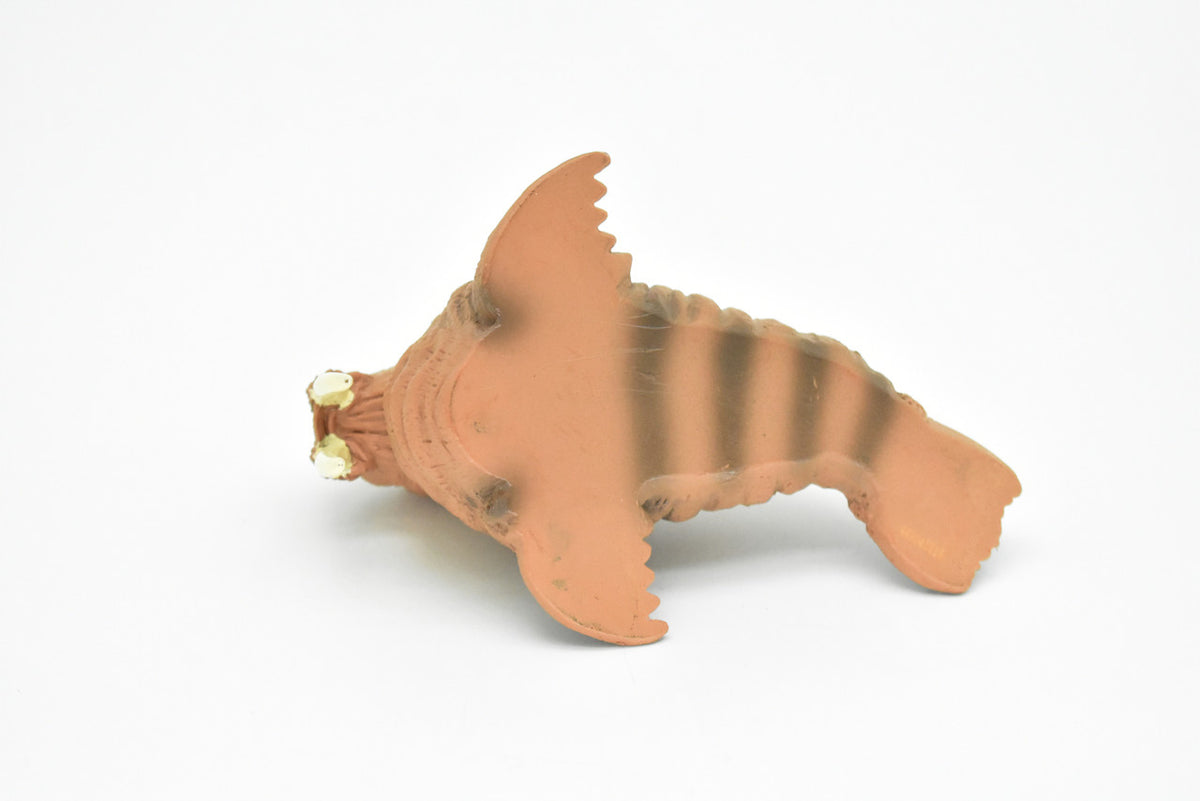 Walrus, Realistic Toy Hard Resin Model Replica, Kids Educational Gift   5"   OK05 B612